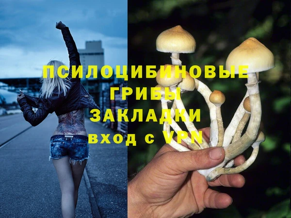 стаф Иннополис