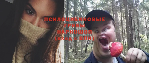 соль курить ск Заводоуковск