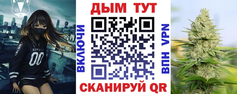 Бошки марихуана индика  наркота  Сковородино 